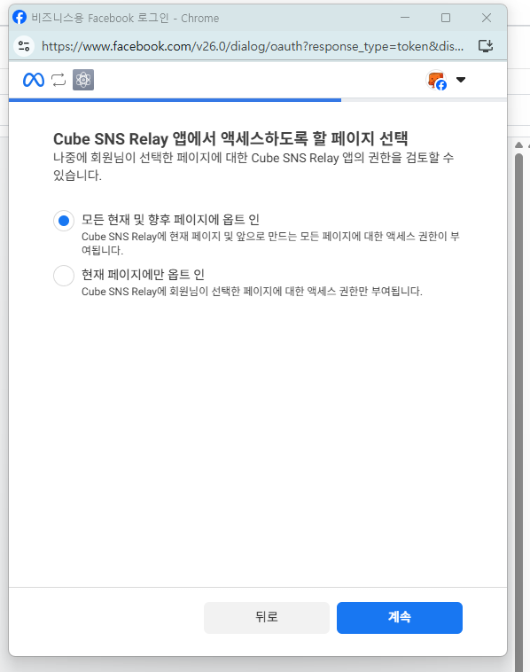 「앱에서 액세스하도록 할 페이지 선택」 창. 「모든 현재 및 향후 페이지에 옵트 인」과 「현재 페이지에만 옵트 인」 두 선택지
