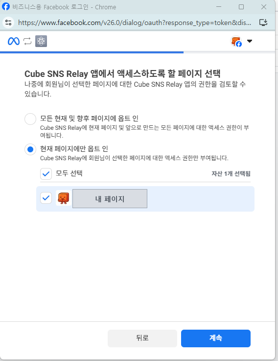 「현재 페이지에만 옵트 인」을 고른 뒤 페이지 하나가 체크된 화면. 페이지 이름 아래에 숫자 ID가 있다(캡처에서는 가림)